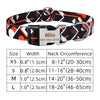 Wide Dog Collar With Name