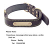 Leather Dog Collar with Engraved Name Plate