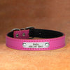 Leather Dog Collar With Personalized Name Plate - Riveted