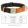 Quick Release Dog Collar With Name Plate