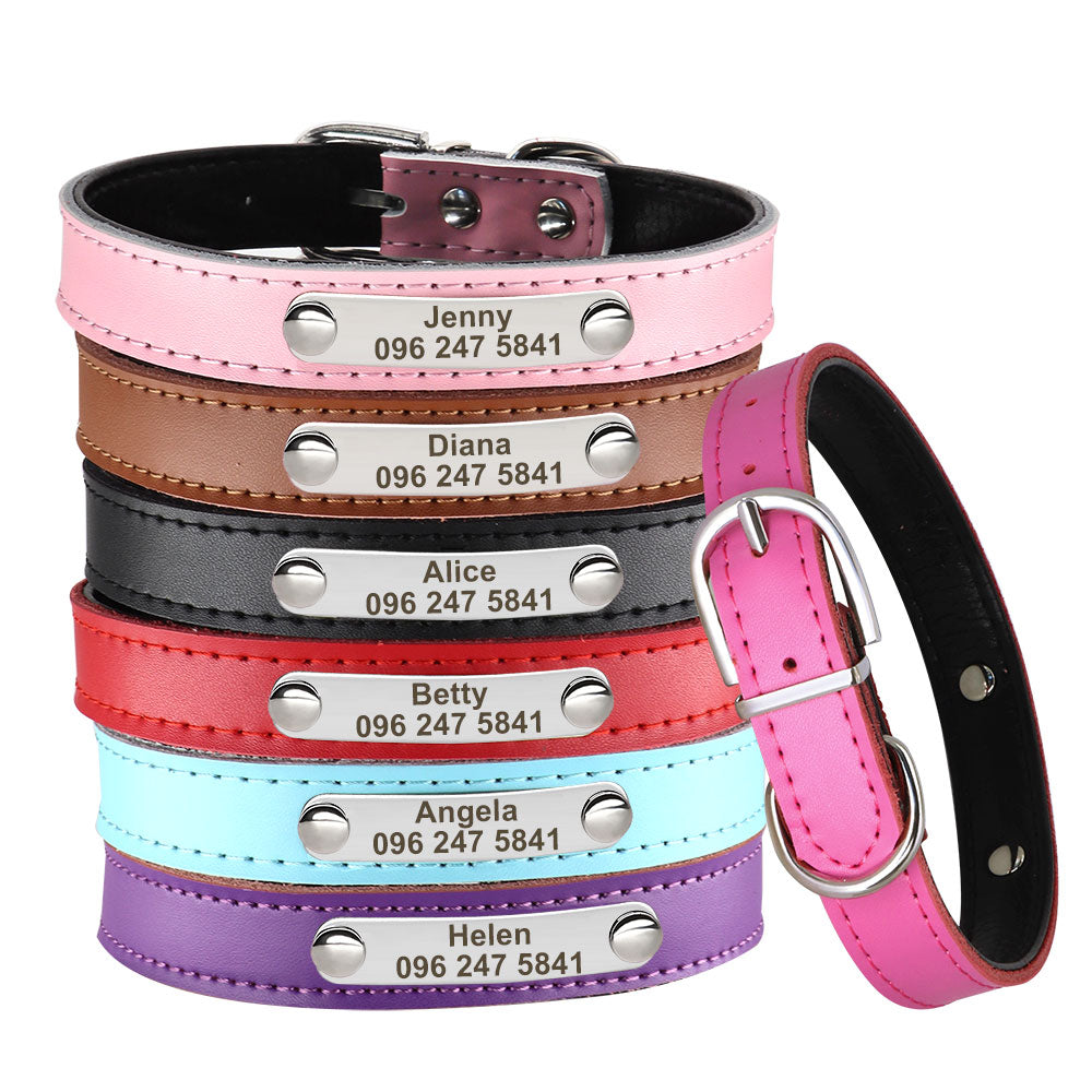 Leather Dog Collar With Personalized Name Plate Riveted On