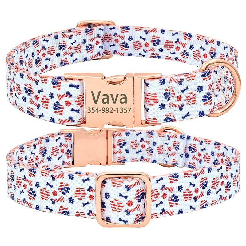 Dog Collar with Integrated Tag