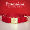 Dog Collar With Info On It