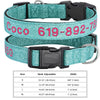 Dog Collar with Name Stitched