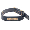 Leather Dog Collar with Engraved Name Plate