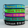 Dog Collar with Embroidered Name Tag