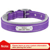 Durable Dog Collar With Name