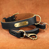 Leather Dog Collar With Brass Name Plate