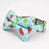 Watermelon Bow Tie Dog Collar