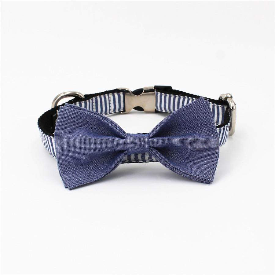 Zebra Blue Bow Tie Dog Collar