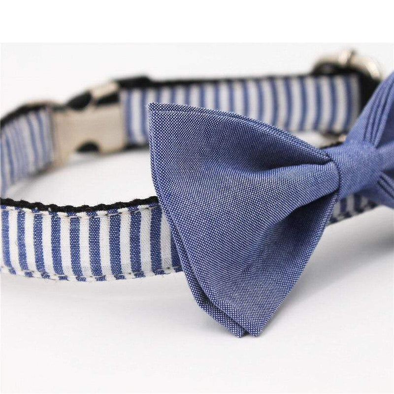 Zebra Blue Bow Tie Dog Collar