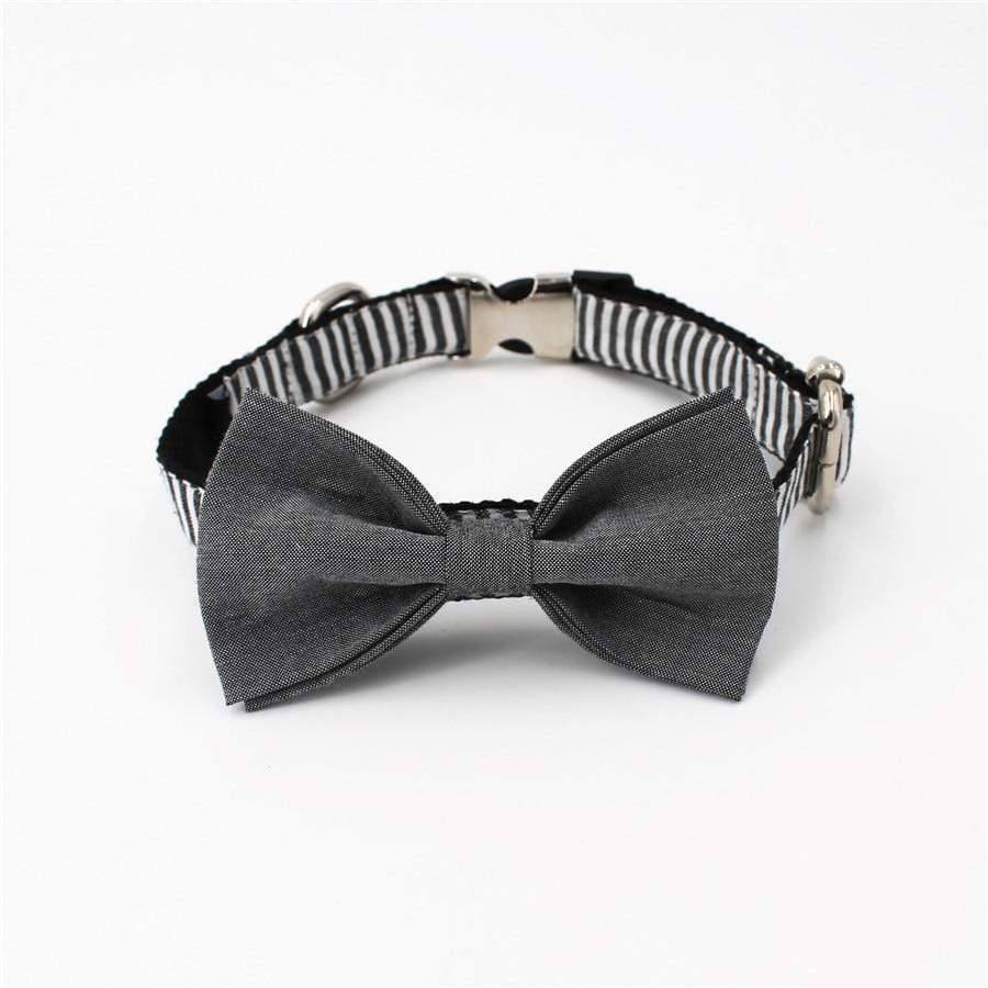 Zebra Gray Bow Tie Dog Collar