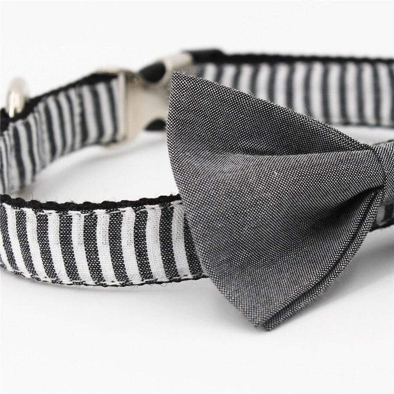 Zebra Gray Bow Tie Dog Collar