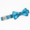 dog bow tie turquoise sea