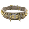Gray Leather Spiked Dog Collar