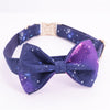 navy blue dog bow tie collar