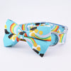 rainbow dog bow tie
