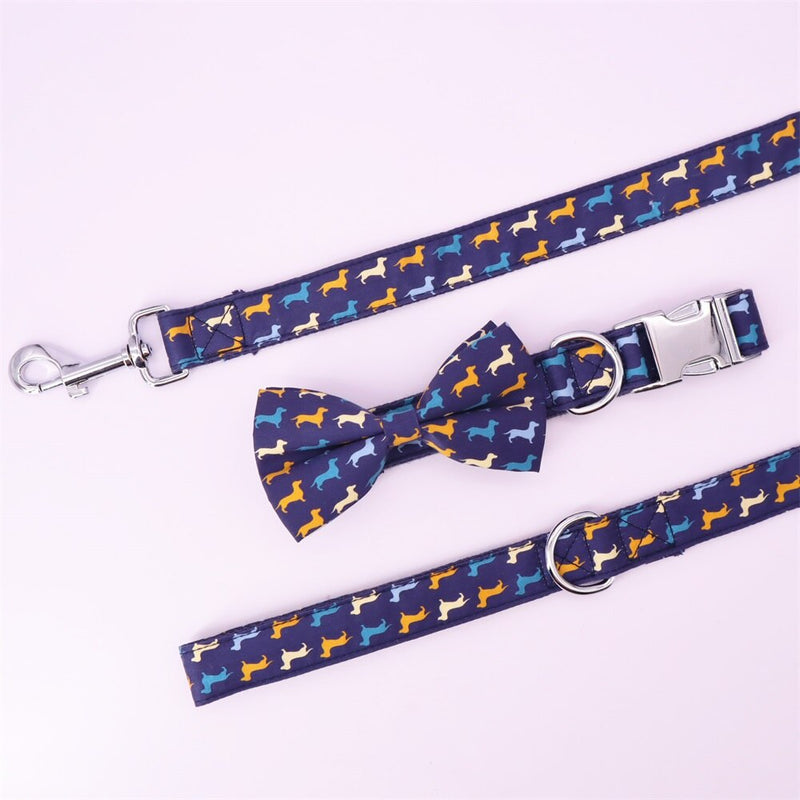boy dog bow tie collar