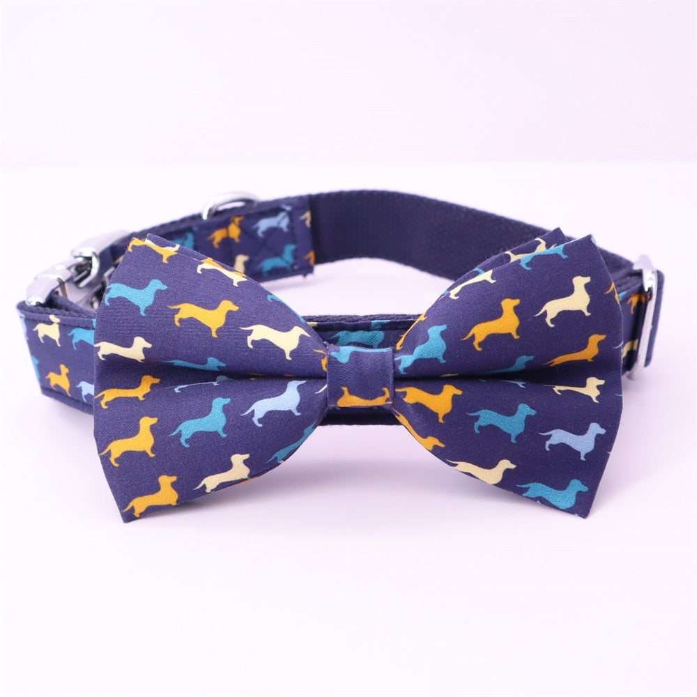 boy dog bow tie collar