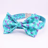 baby blue dog bow tie